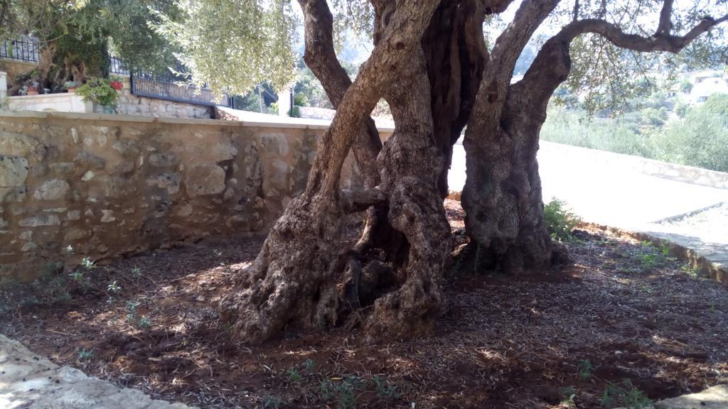 فيلا Tzitzifes Stone Mansion المظهر الخارجي الصورة