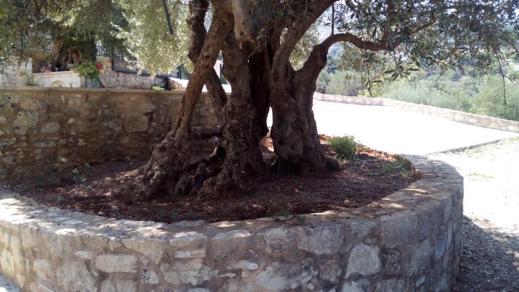 فيلا Tzitzifes Stone Mansion المظهر الخارجي الصورة