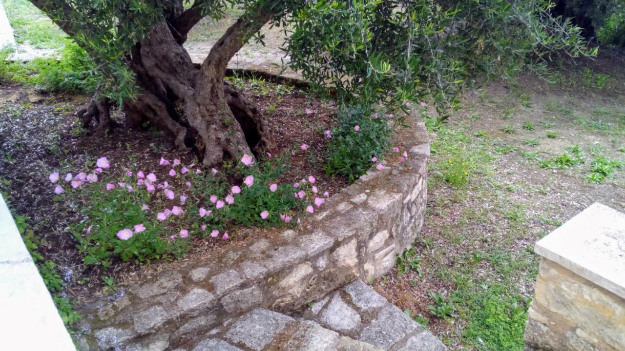 فيلا Tzitzifes Stone Mansion المظهر الخارجي الصورة